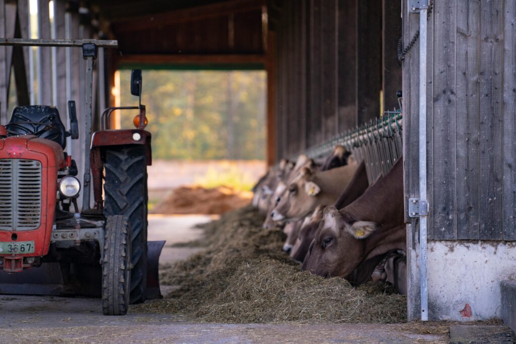 big bags in agriculture